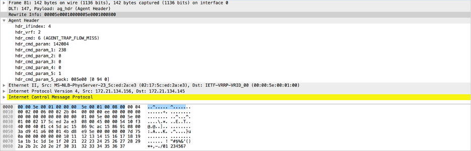 Figure 4: Packets Expanded Using the Wireshark Plugin